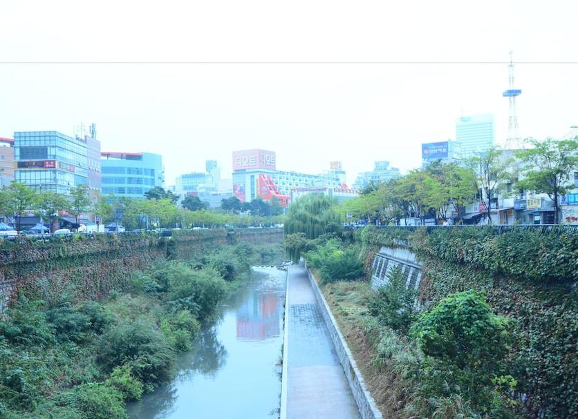 室外景 相片