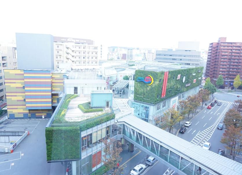 室外景 相片