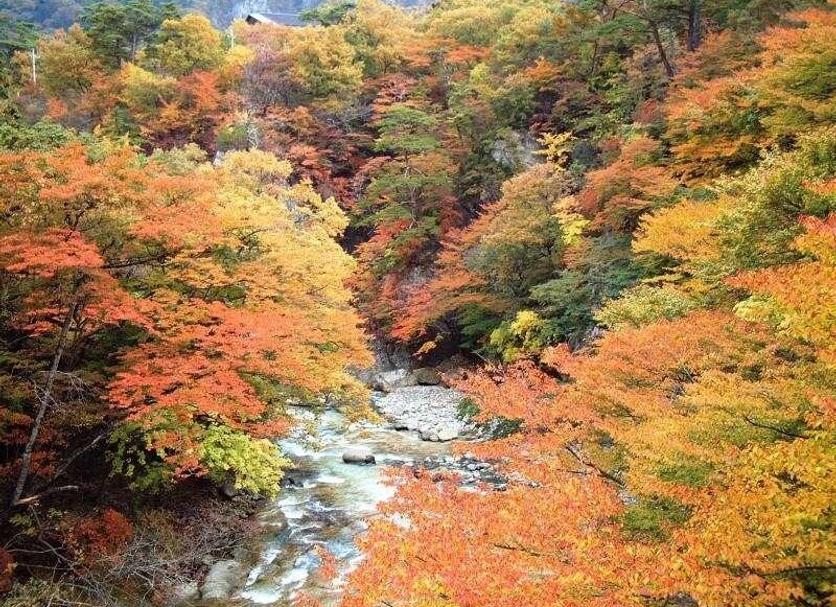 室外景 相片