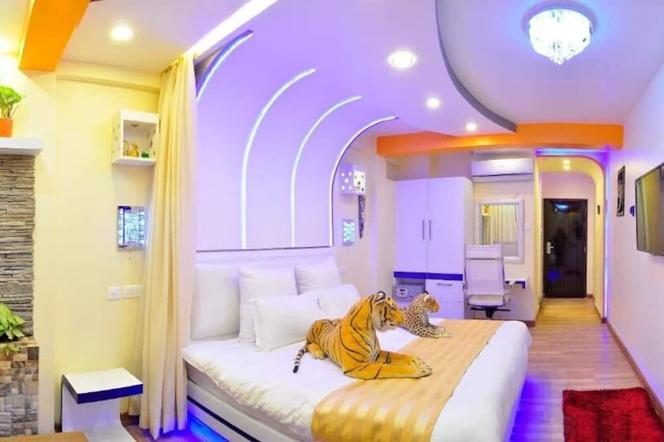 皇家企鵝精品 SPA 酒店 - 加德滿都