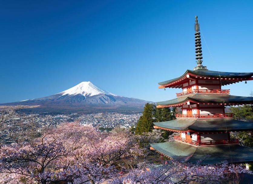 室外景 相片