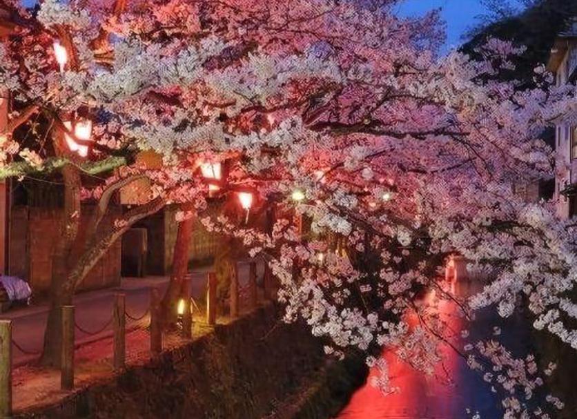 室外景 相片