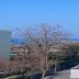 室外景
