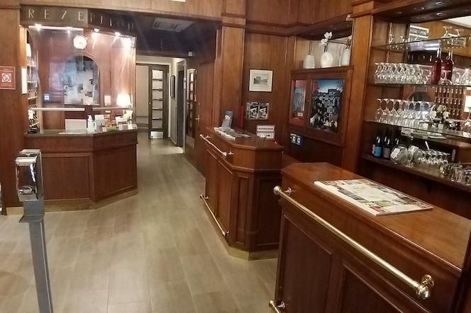 杜密茲酒店 - 維也納