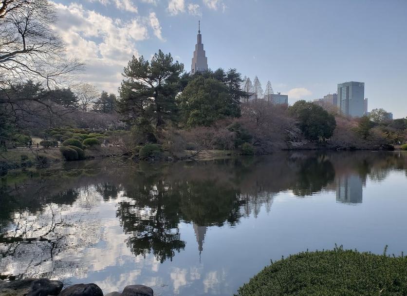 室外景 相片