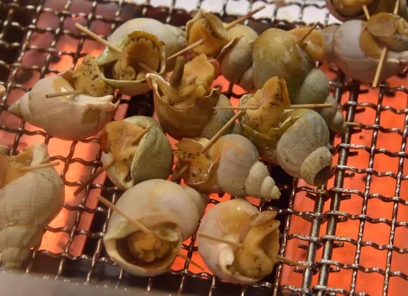 其他 相片