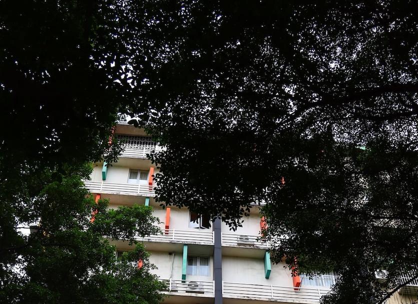 室外景 相片