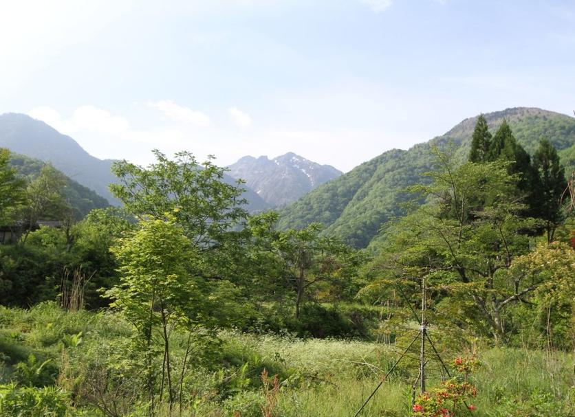 室外景 相片