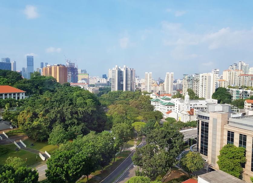 室外景 相片
