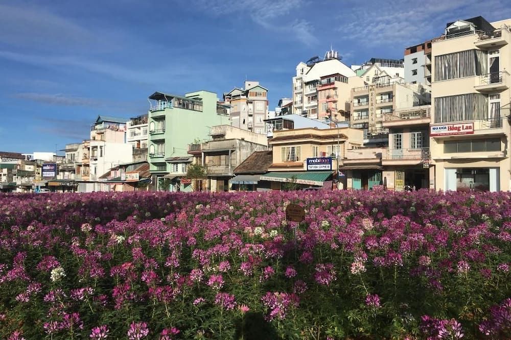 阮明旅館