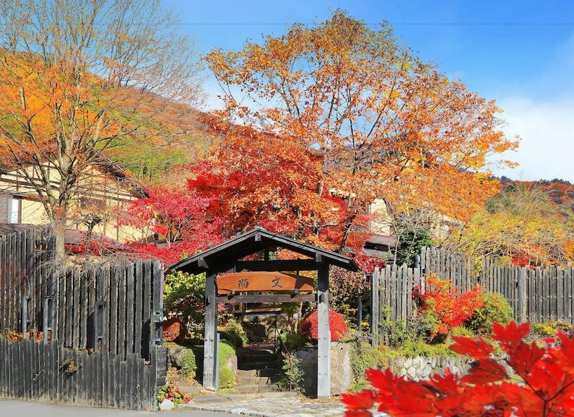 室外景 相片