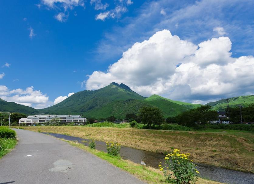室外景 相片