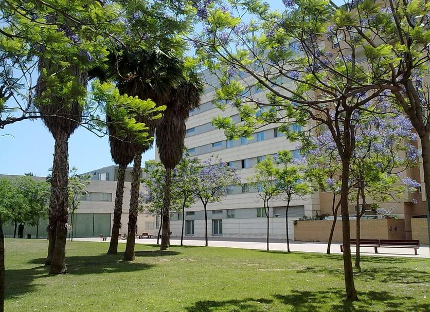 建築 相片