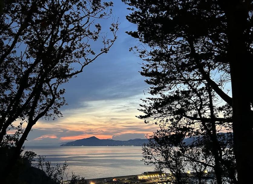 室外景 相片