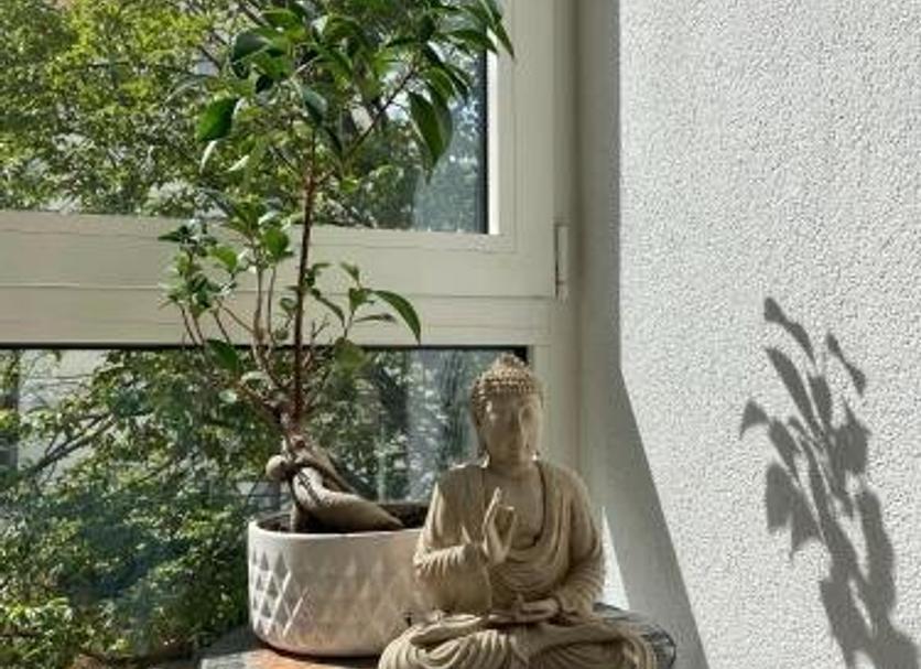 其他 相片