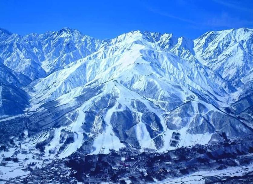 室外景 相片