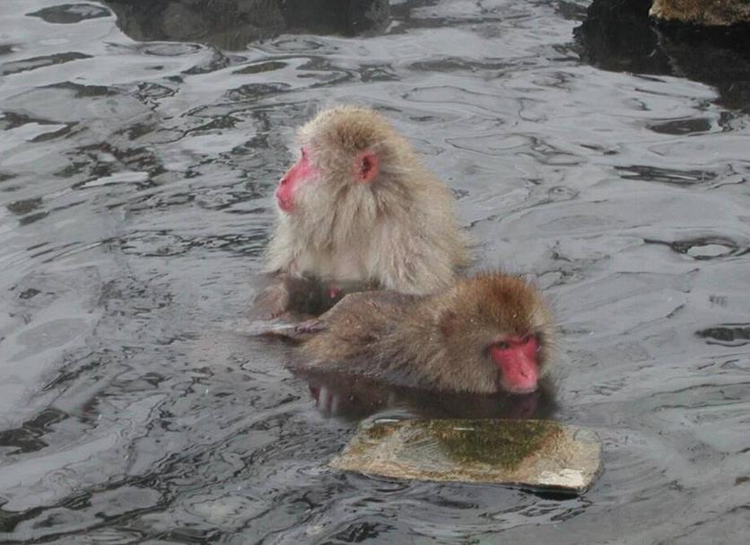 其他 相片