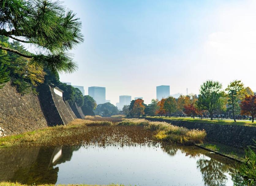 室外景 相片
