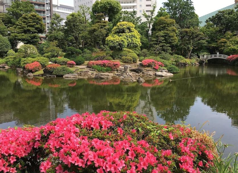 室外景 相片