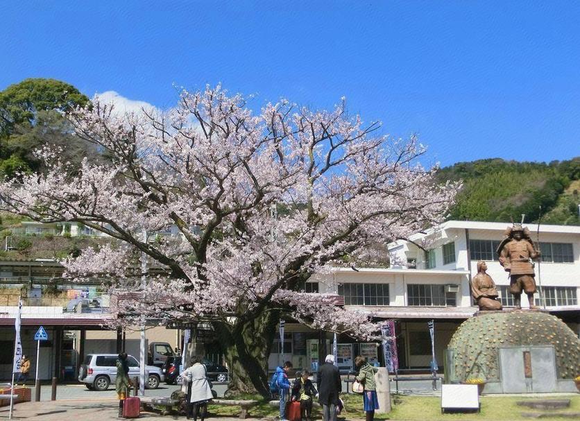 室外景 相片