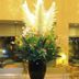 大廳