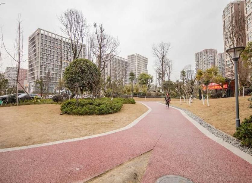 室外景 相片