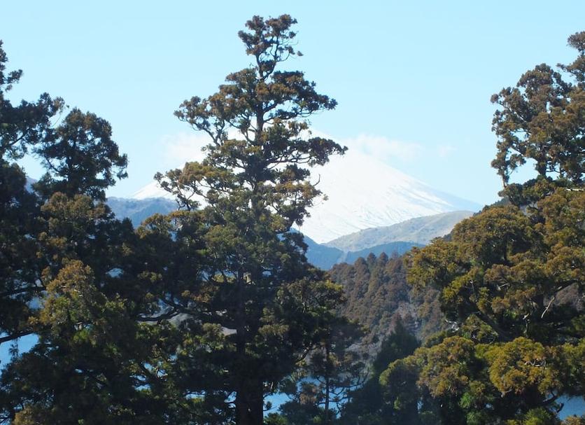 室外景 相片