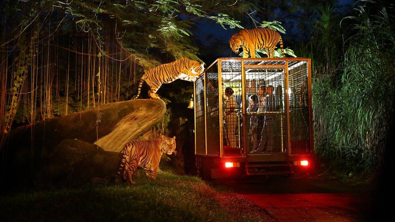 巴厘島野生動物園和海洋公園馬拉河畔酒店 - 吉安亞爾