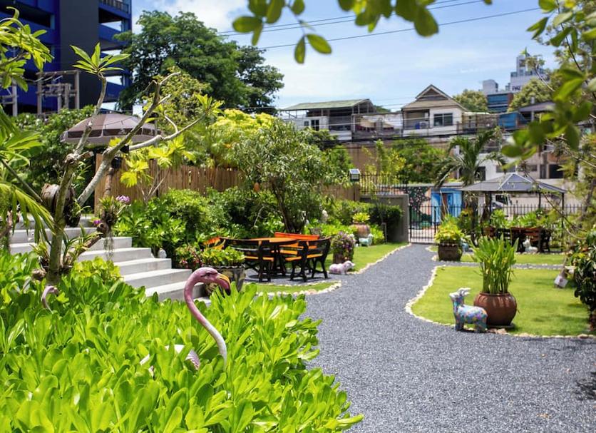 天井 相片
