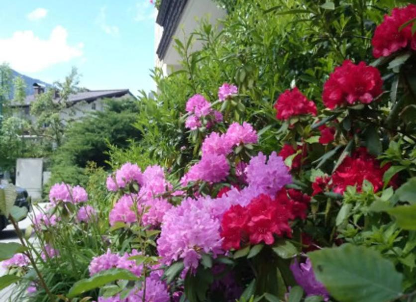 室外景 相片