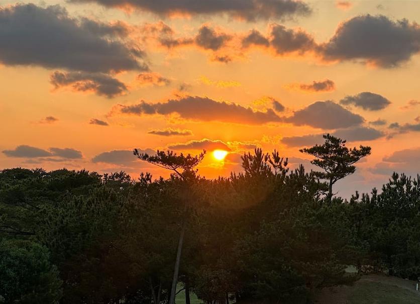 室外景 相片