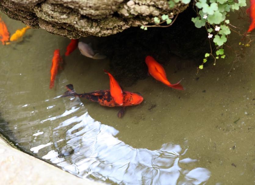 其他 相片