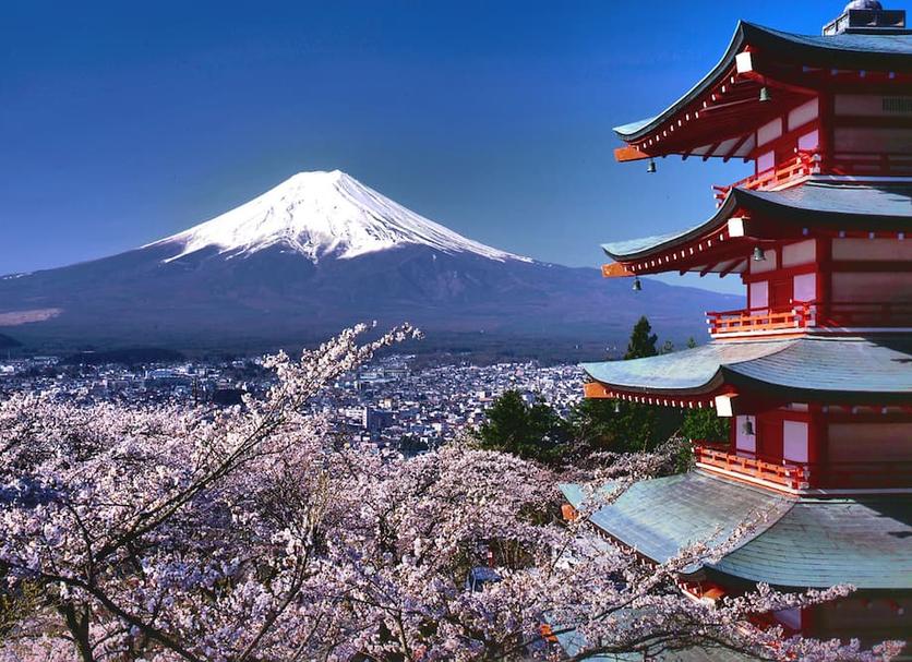 室外景 相片