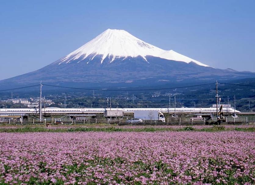 室外景 相片