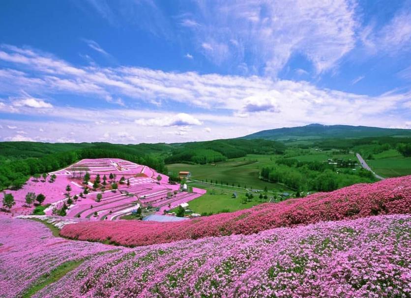 室外景 相片