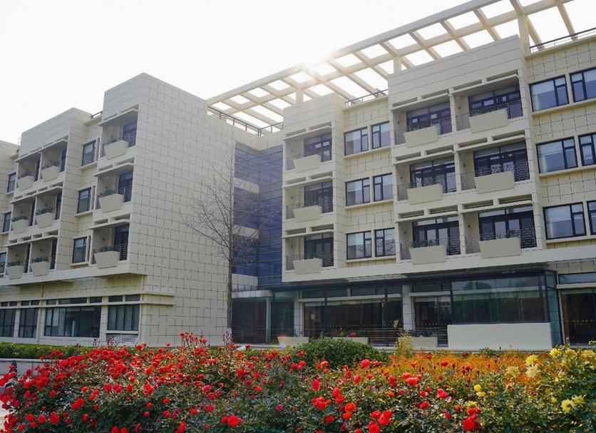 建築 相片