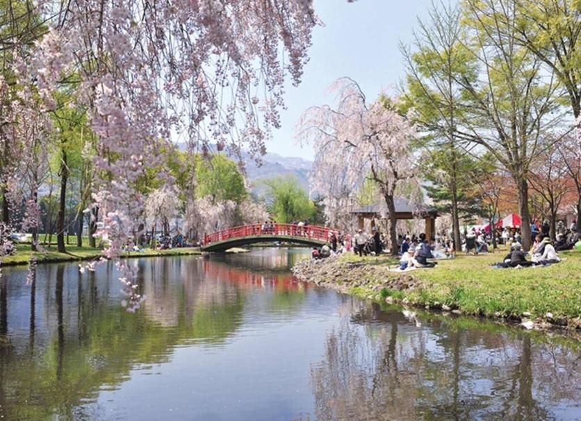 室外景 相片