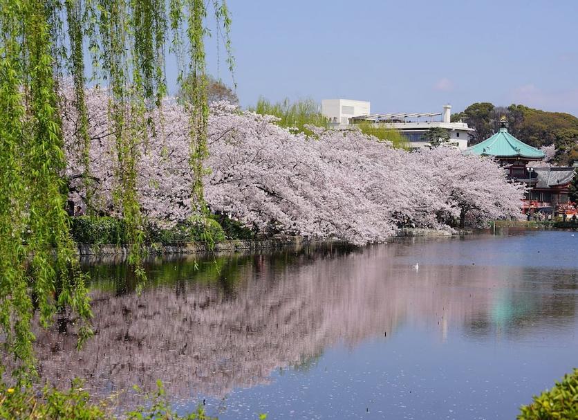 室外景 相片