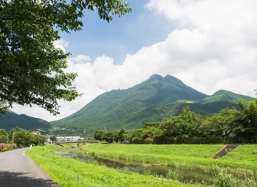 室外景 相片