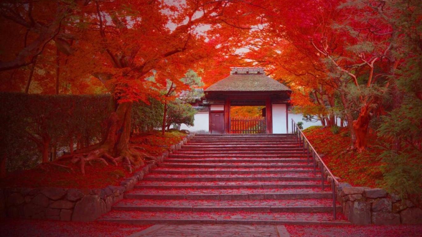 12 日式旅館