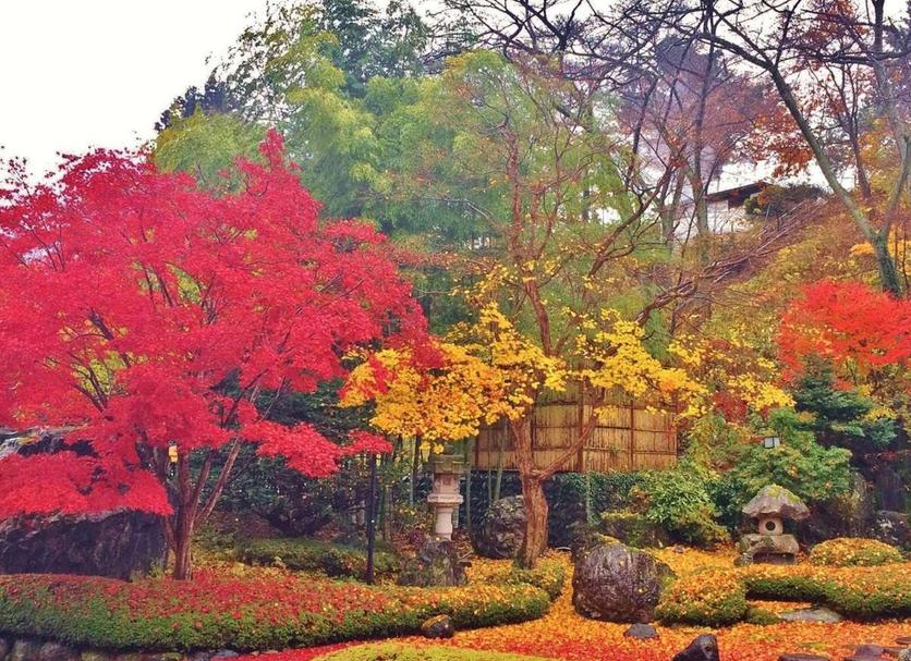室外景 相片