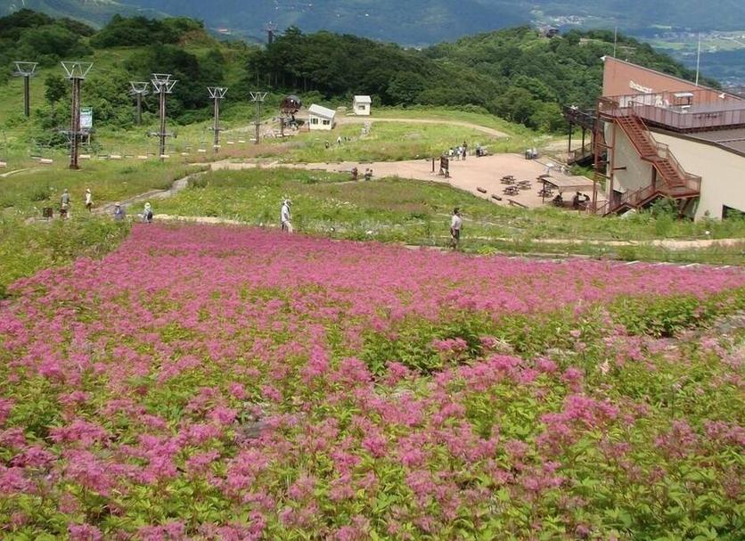 室外景 相片