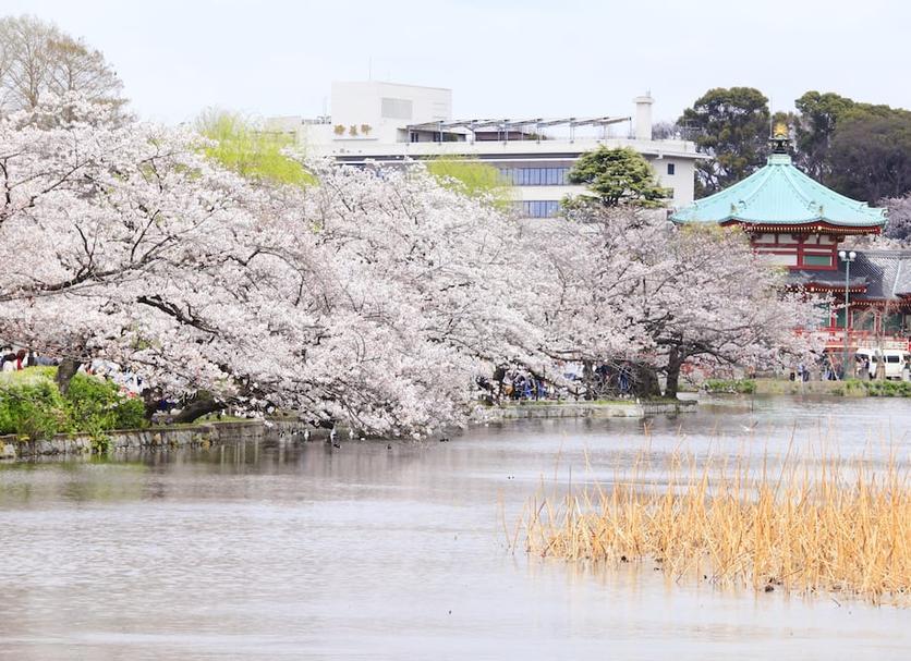 室外景 相片