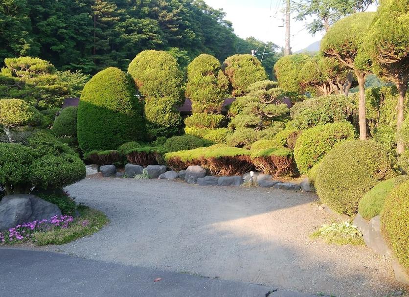 室外景 相片