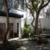 天井