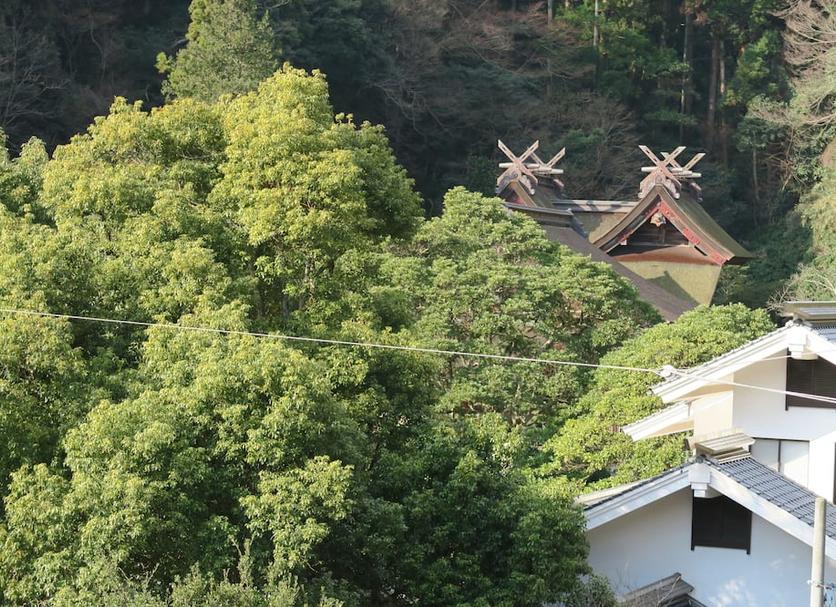 室外景 相片