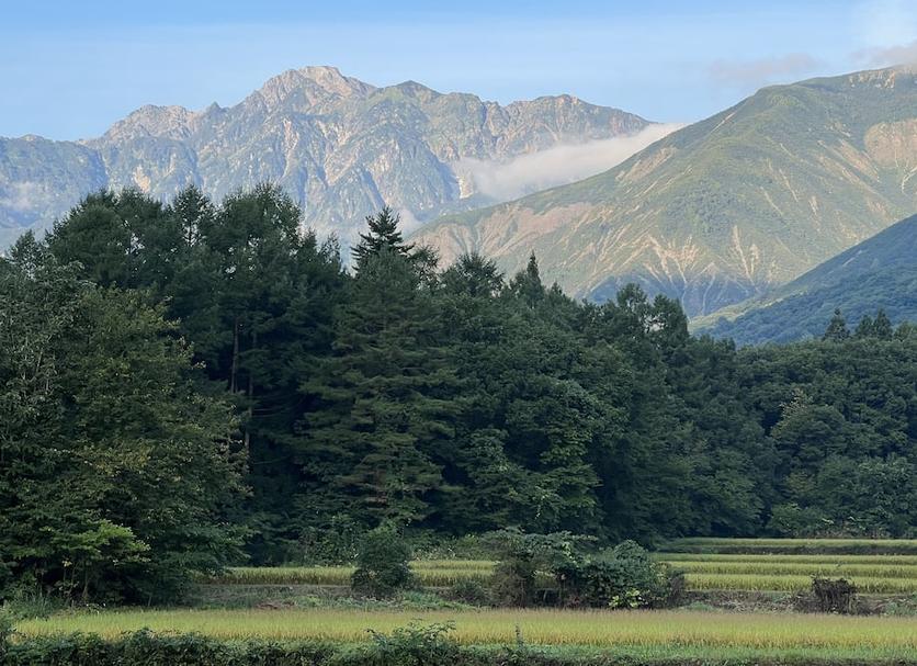 室外景 相片