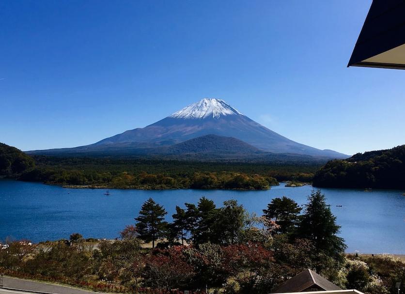室外景 相片