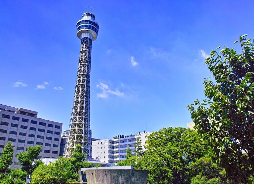 室外景 相片