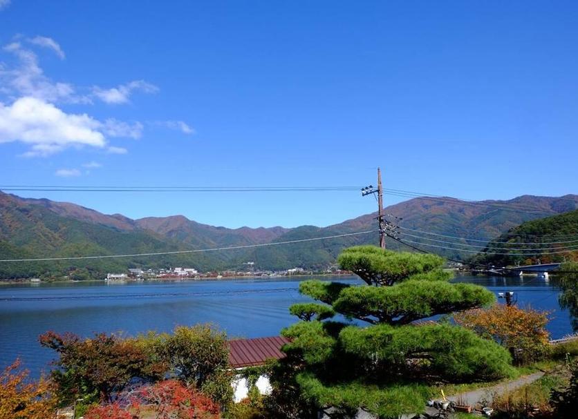 室外景 相片